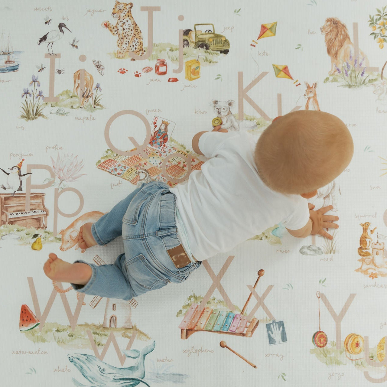 ABC Storybook (Blush)/ Heirloom